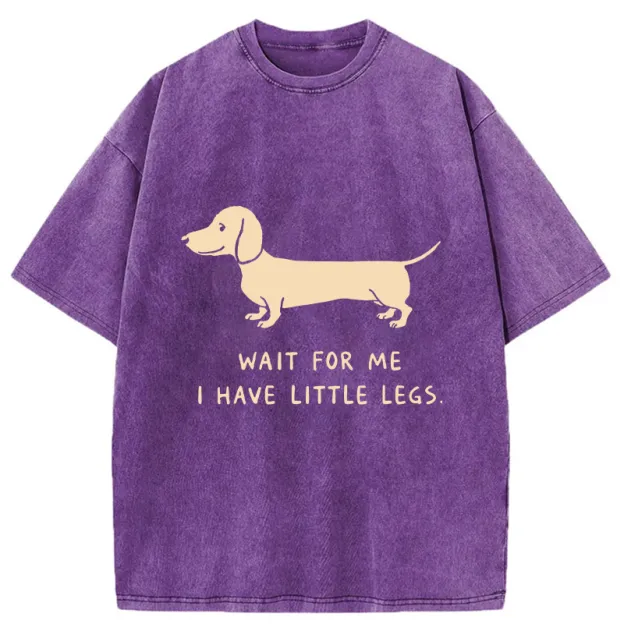 Unisex Wait For The Dachshund Washed T-Shirt