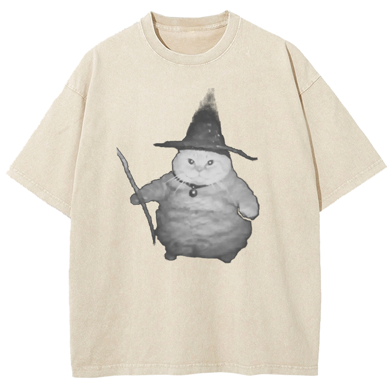 Wizard Cat Washed T-Shirt