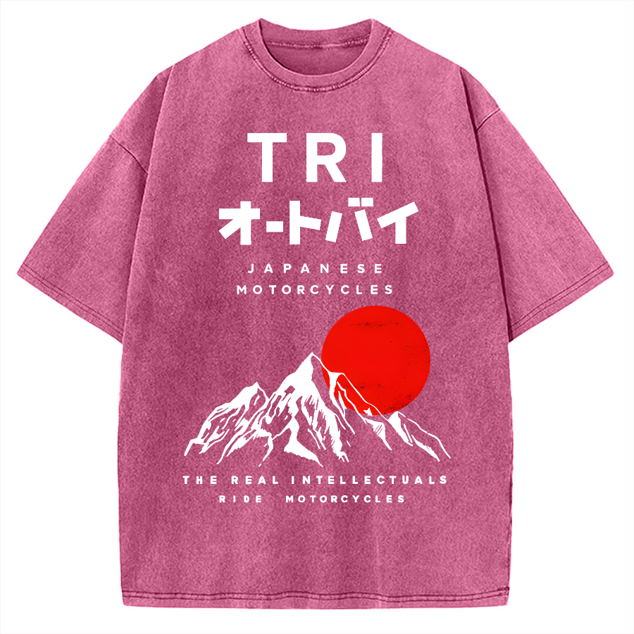Japanese Mount Fuji Vintage Washed T-shirt