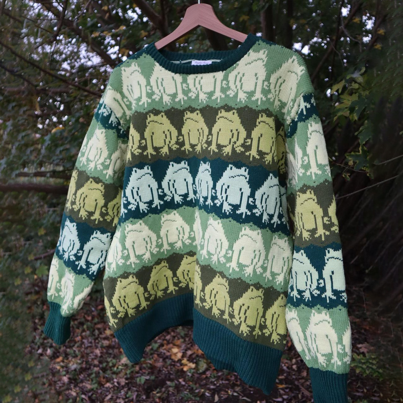 Funny Frog Print Casual Crew Neck Sweater