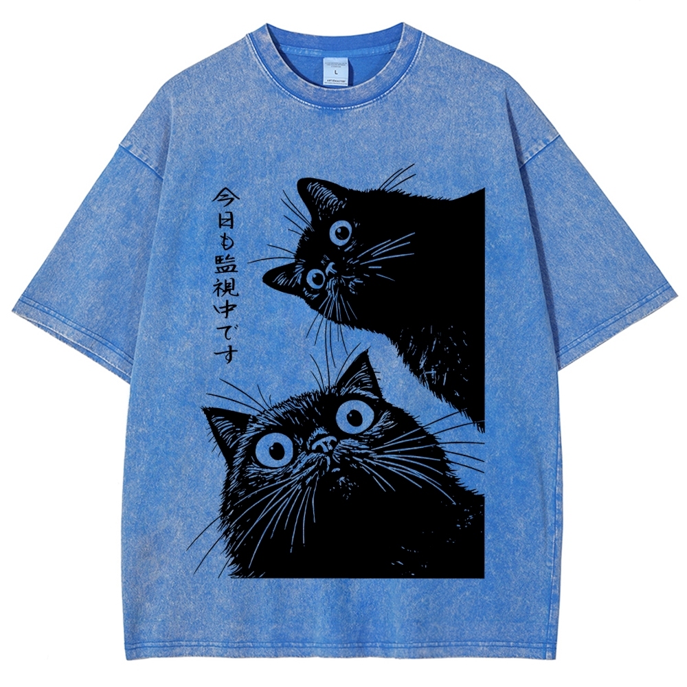 The Cat is Watching Today Washed T-Shirt