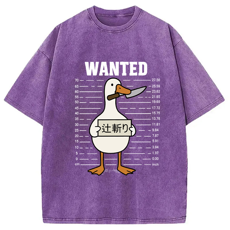 Wanted Silly Goose Washed T-Shirt