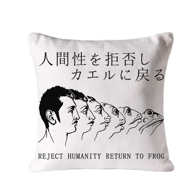 Return To Frog Cushion Pillow