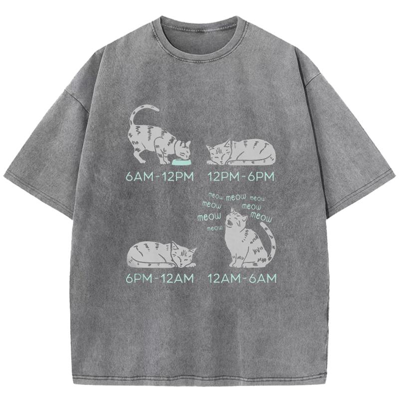 Cat's Schedule Washed T-Shirt