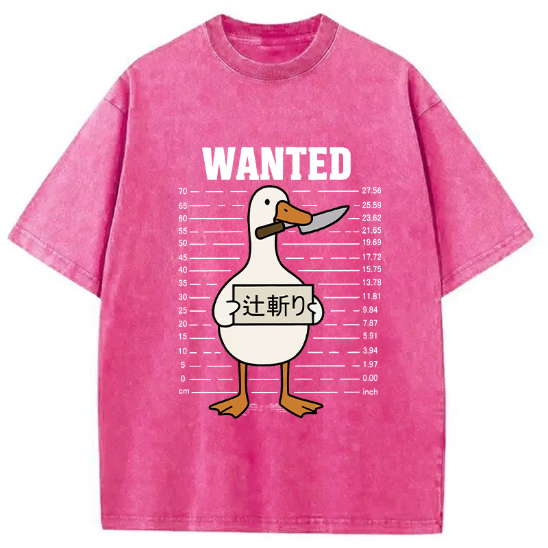 Wanted Silly Goose Washed T-Shirt