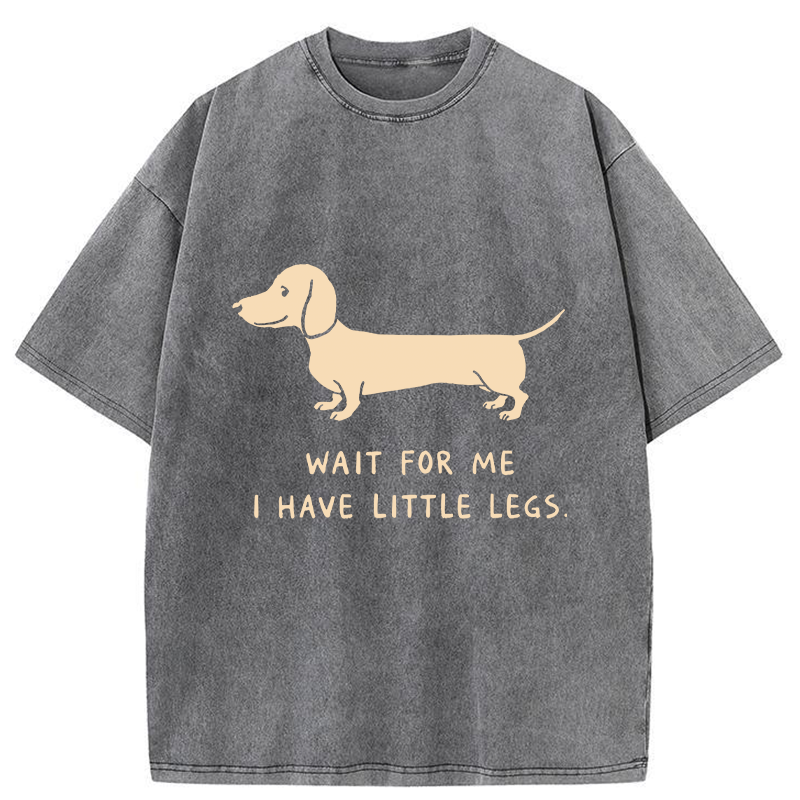 Unisex Wait For The Dachshund Washed T-Shirt
