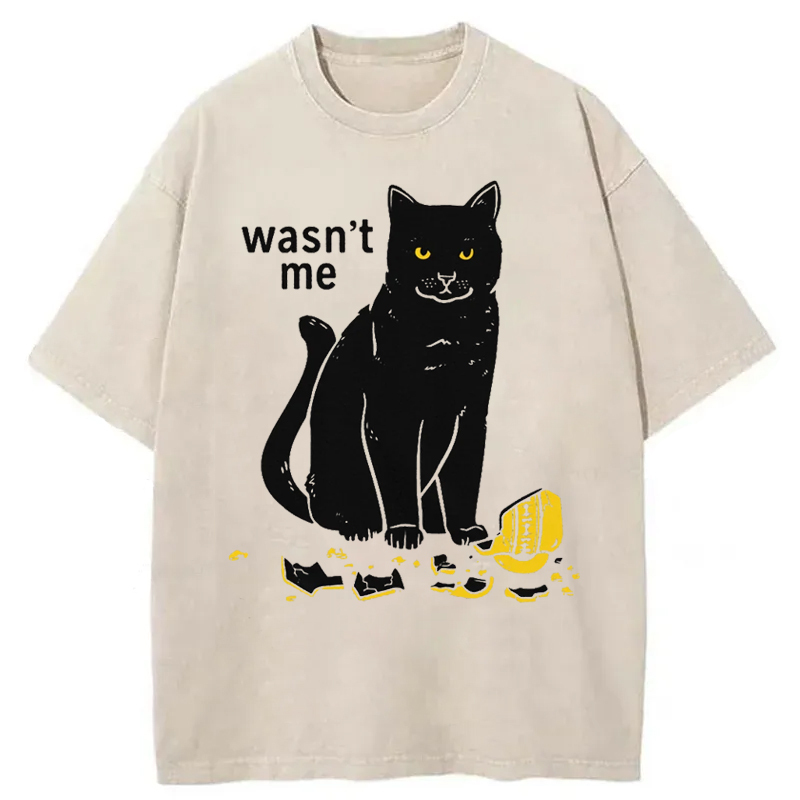 Wasn't Me Washed T-Shirt