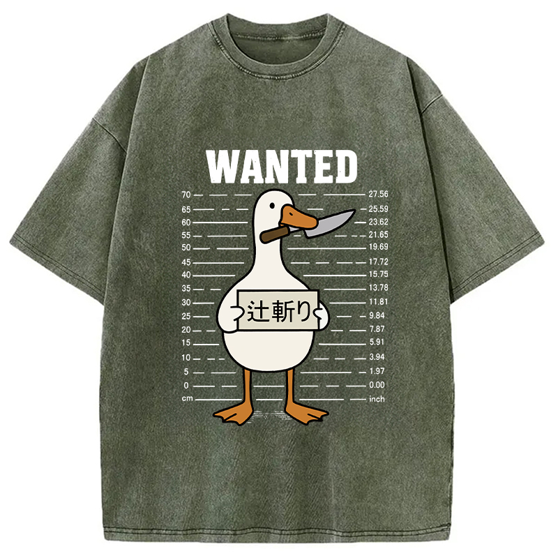 Wanted Silly Goose Washed T-Shirt