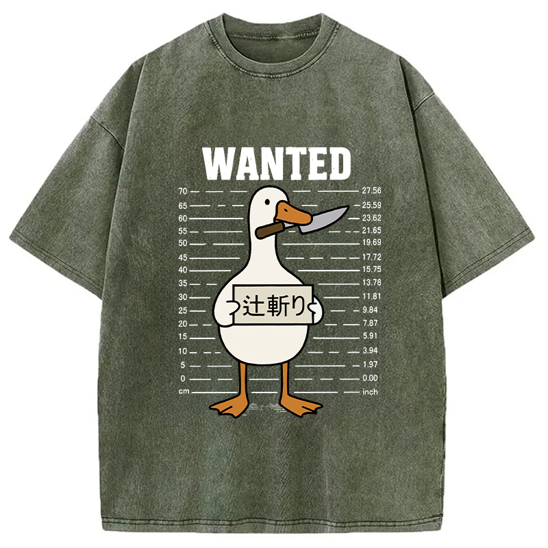 Wanted Silly Goose Washed T-Shirt