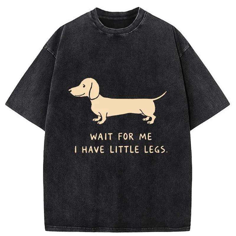 Unisex Wait For The Dachshund Washed T-Shirt
