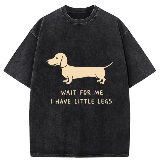 Unisex Wait For The Dachshund Washed T-Shirt