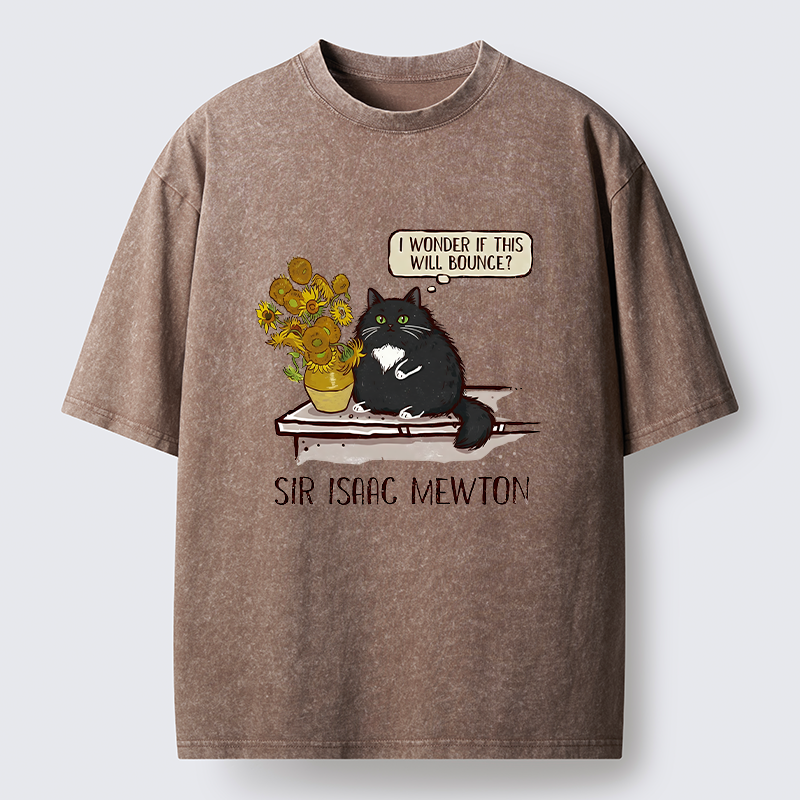 Unisex Cat Wants To Do A Physics Experiment Washed T-Shirt