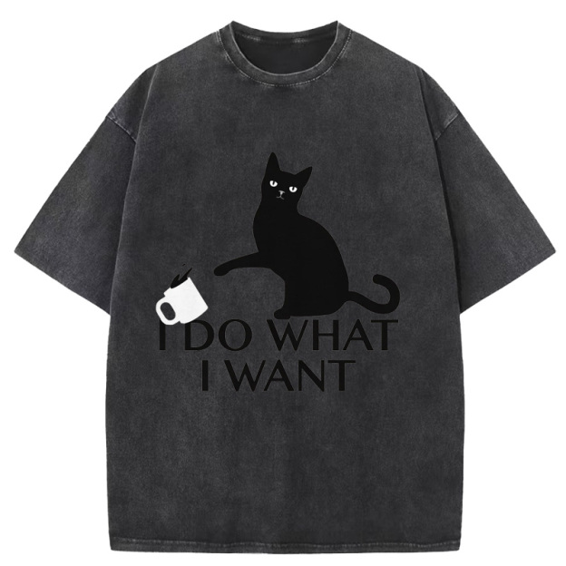 I Do What I Want Washed T-Shirt