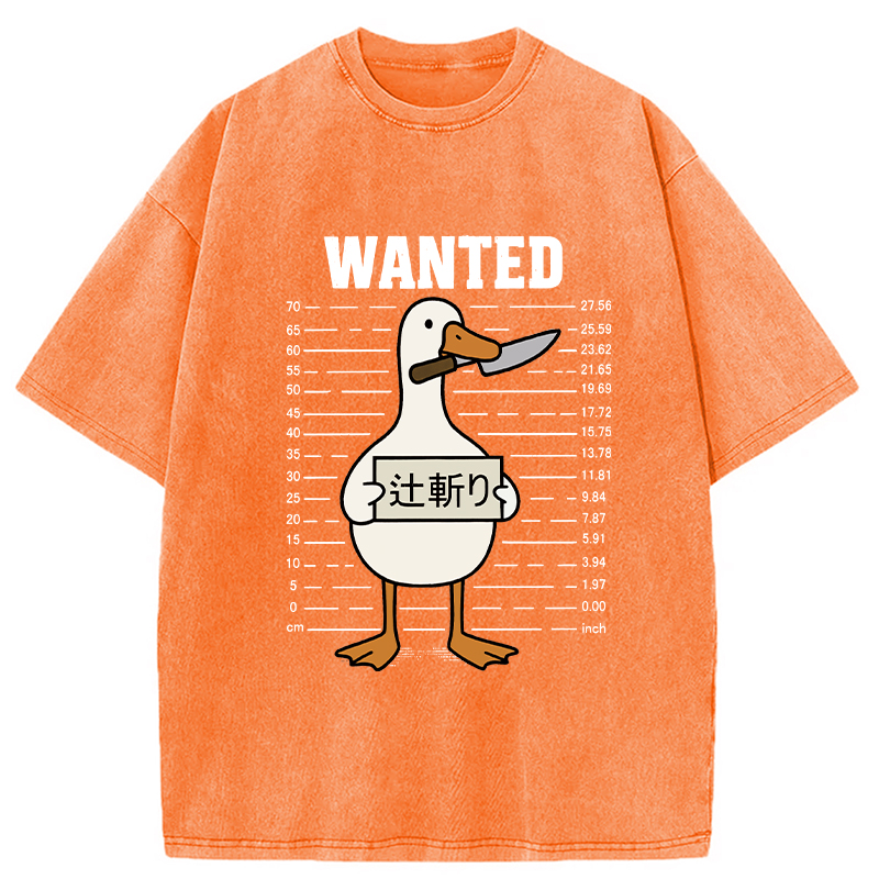 Wanted Silly Goose Washed T-Shirt