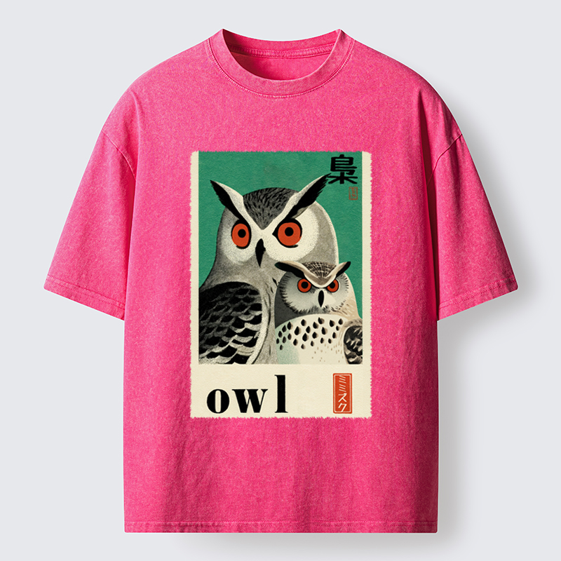 Unisex Eagle Owls Washed T-Shirt