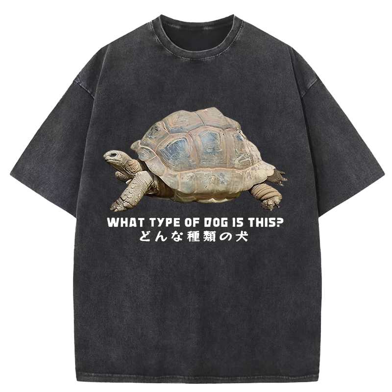 Slow Crawling Dog Washed T-Shirt