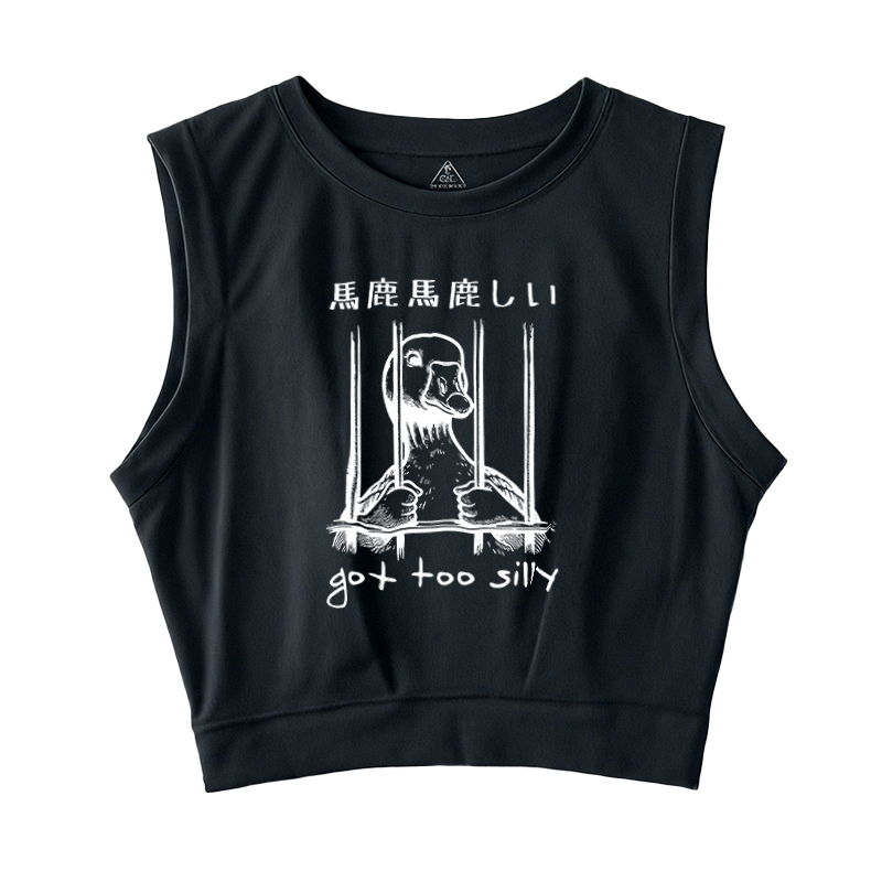  Got Too Silly Sleeveless Crop Top