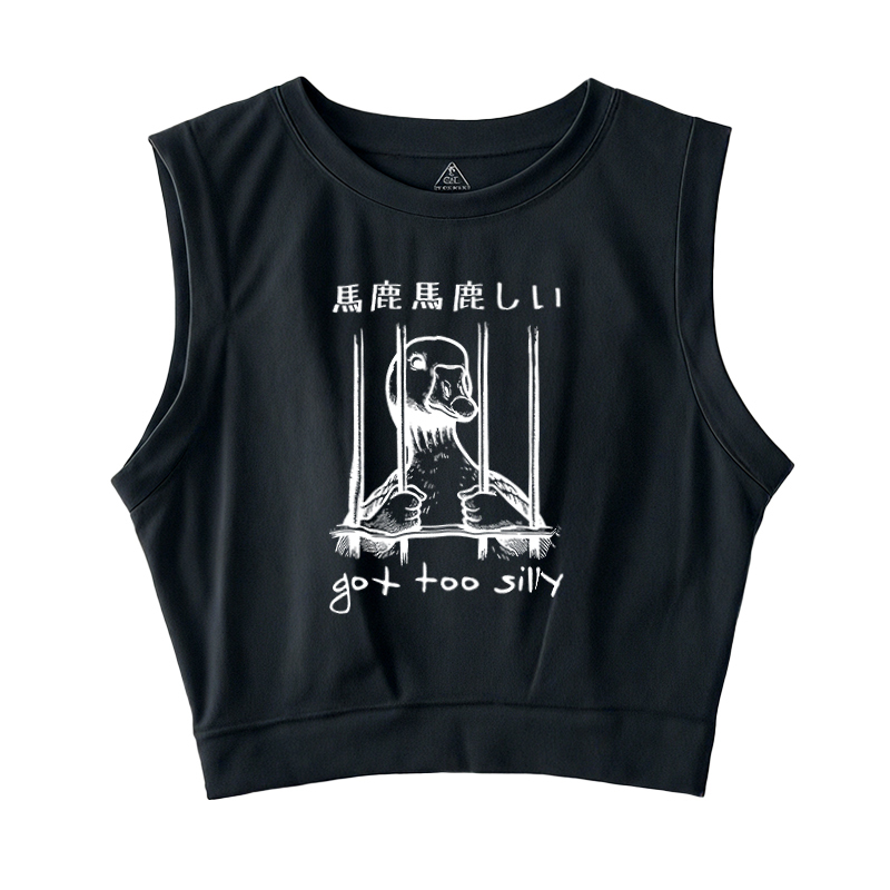  Got Too Silly Sleeveless Crop Top