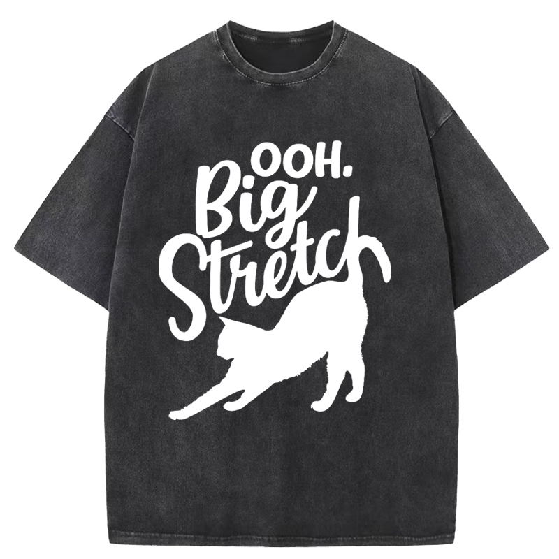 Cuddlefurry™ | Big Stretch Washed T-Shirt