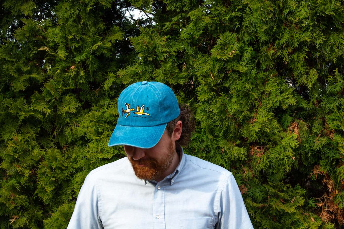 Flying Ducks Embroidered Dad Hat