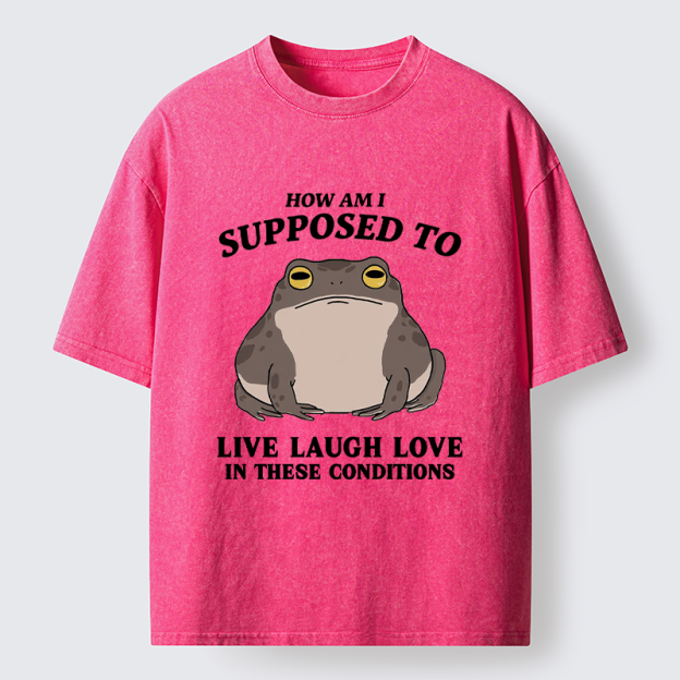 Unisex Frog Life Crisis Washed T-Shirt