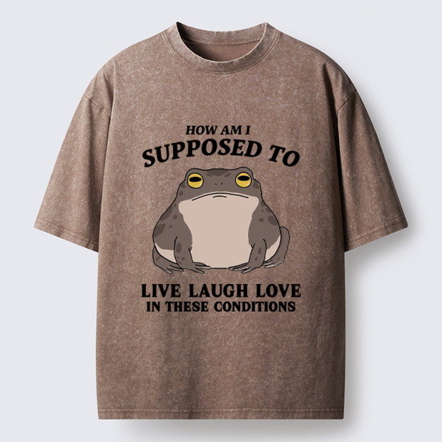 Unisex Frog Life Crisis Washed T-Shirt
