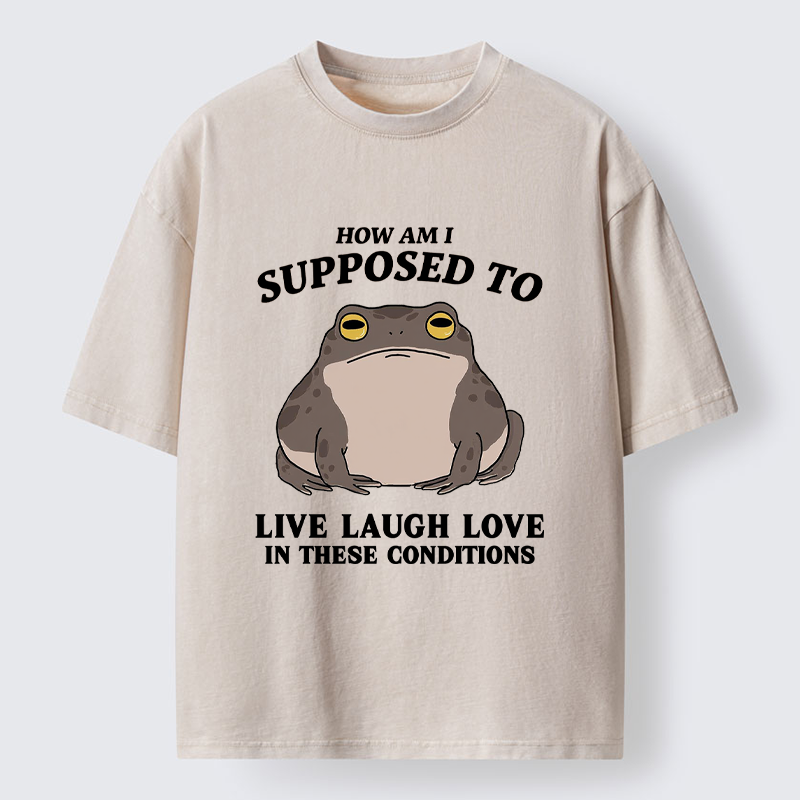 Unisex Frog Life Crisis Washed T-Shirt