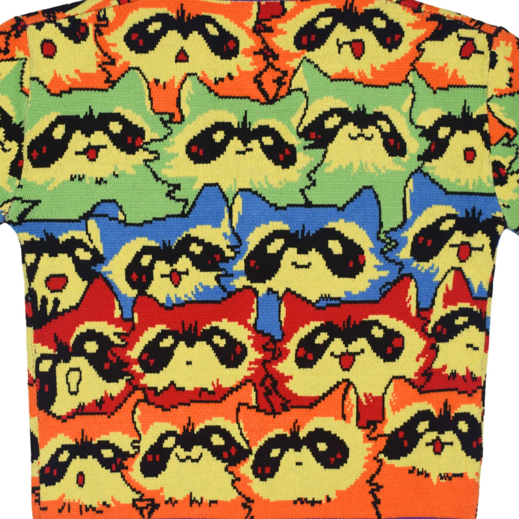 Unisex Rainbow Raccoon Ugly Cardigan Sweater