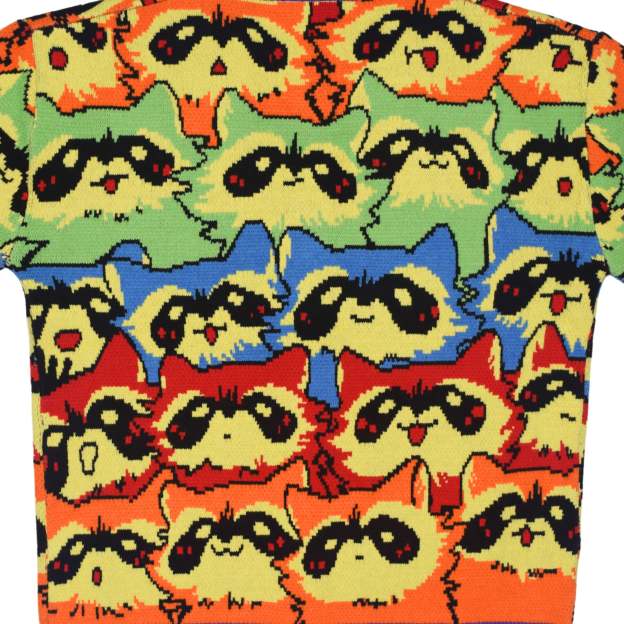 Unisex Rainbow Raccoon Ugly Cardigan Sweater