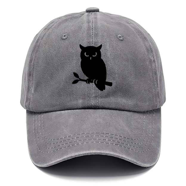 Owl perched on branch at night - Washed Cap