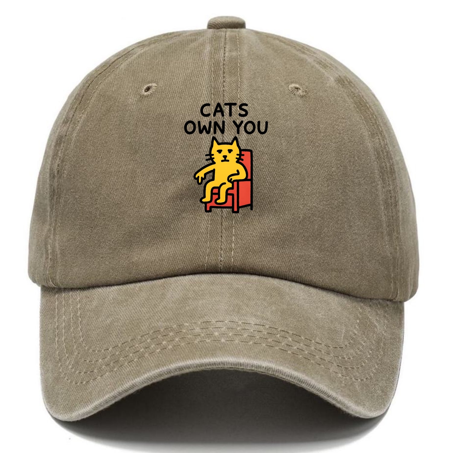 Cats Own You | Cat On Throne Pointing Down Washed Cap