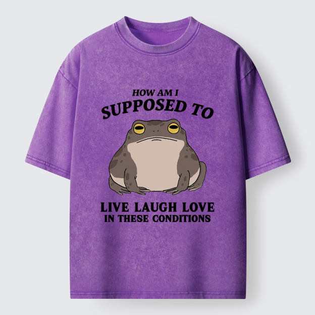 Unisex Frog Life Crisis Washed T-Shirt