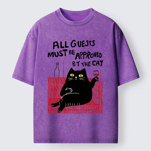 Unisex Guest Inspector Washed T-Shirt