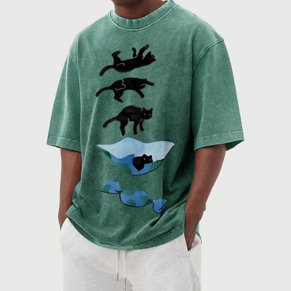 Cat Landing Washed Vintage Short Sleeves T-Shirt