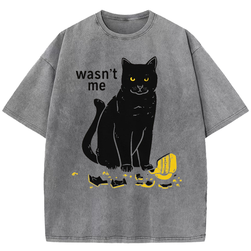 Wasn't Me Washed T-Shirt