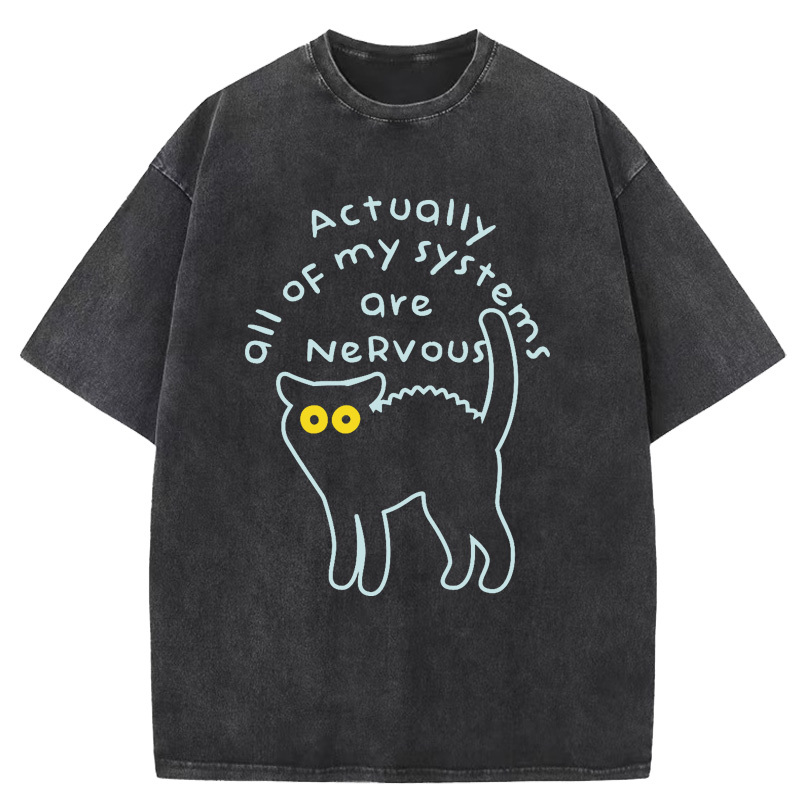 Actually All Of My Systems Are Nervous Washed T-Shirt
