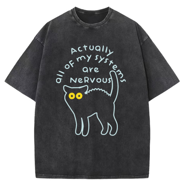 Actually All Of My Systems Are Nervous Washed T-Shirt