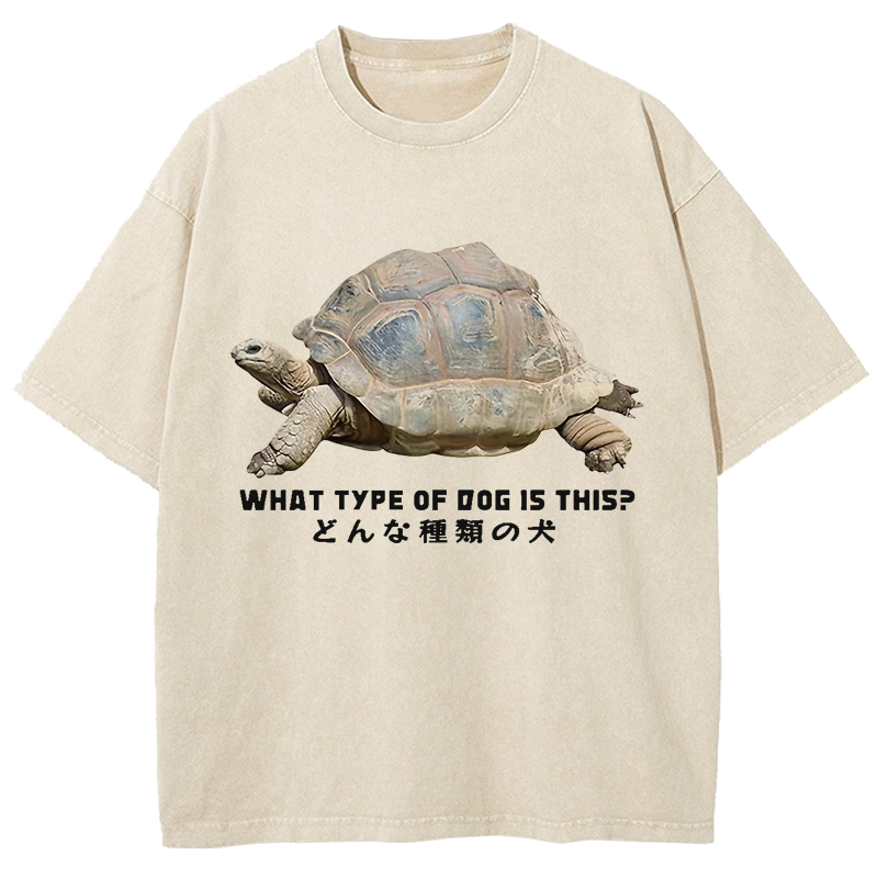  Slow Crawling Dog Washed T-Shirt