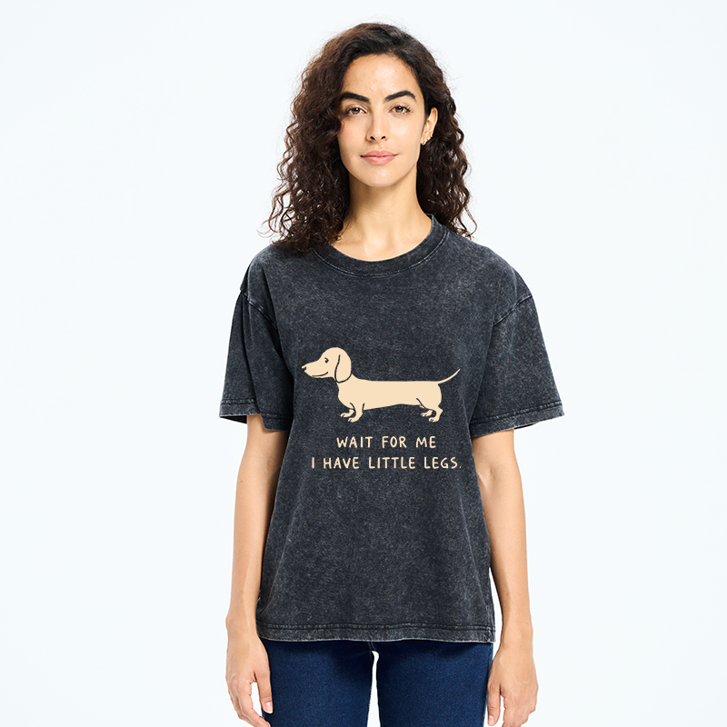 Unisex Wait For The Dachshund Washed T-Shirt