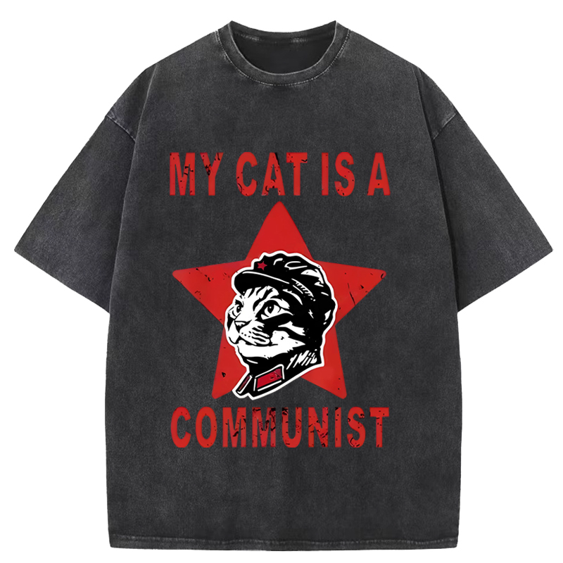 Funny Cat-ism Washed T-Shirt