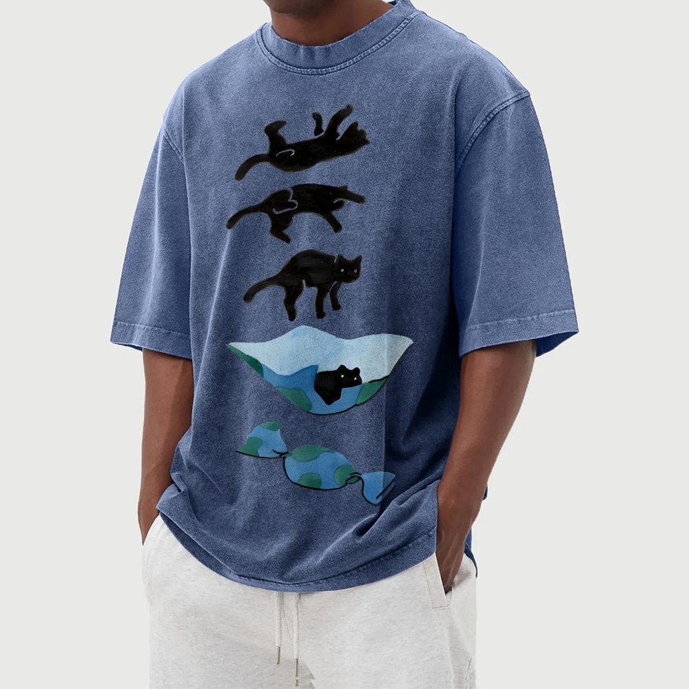 Cat Landing Washed Vintage Short Sleeves T-Shirt
