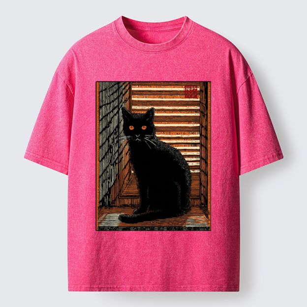 Unisex Guardian of the Steps Washed T-Shirt