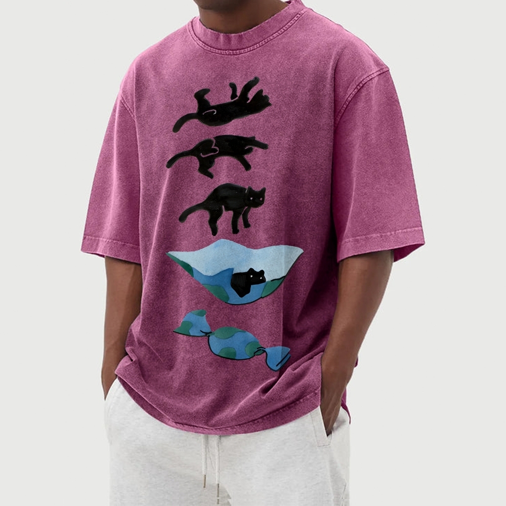 Cat Landing Washed Vintage Short Sleeves T-Shirt