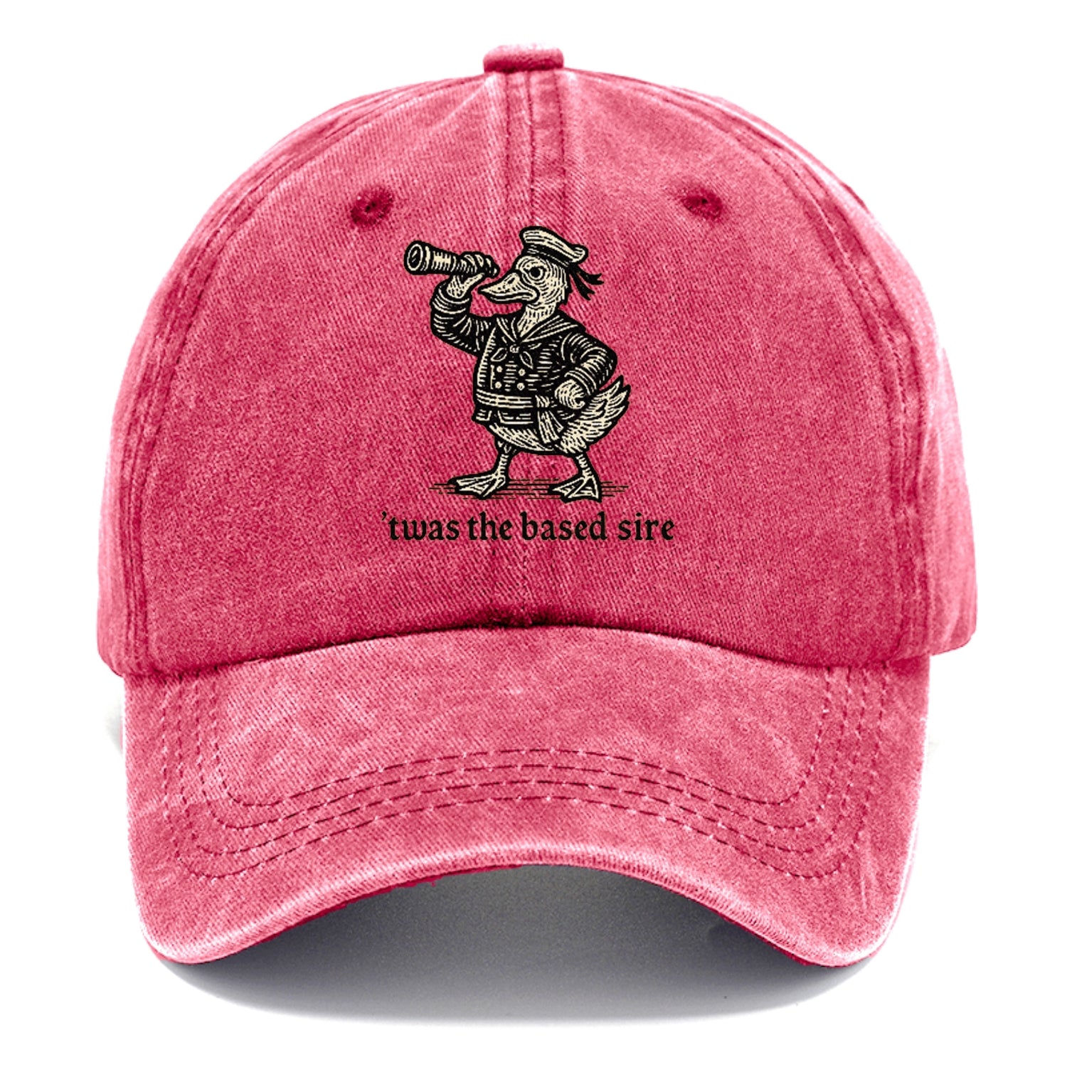 The Based Sire Washed Cap