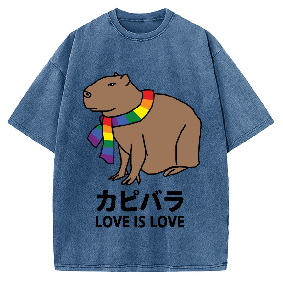 Capybara With Love Vintage Washed T-shirt