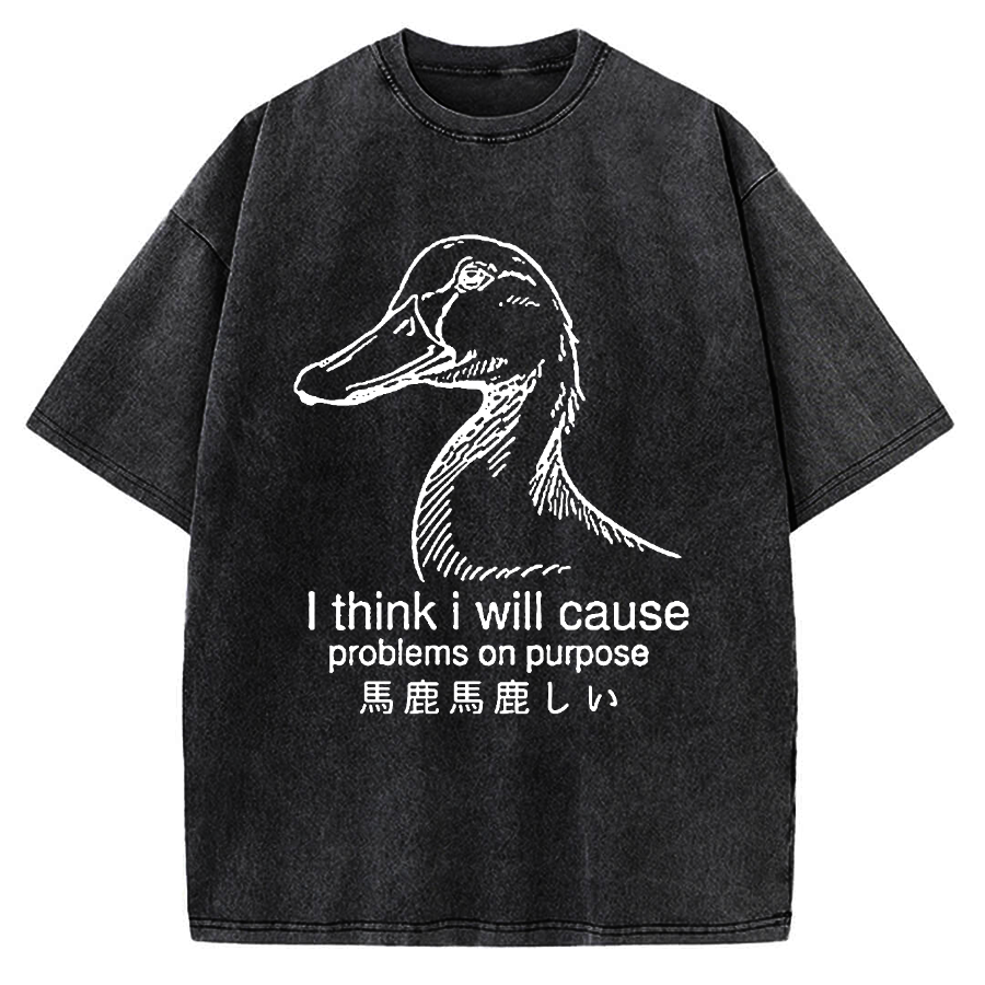 Funny Goose Vintage Washed T-shirt
