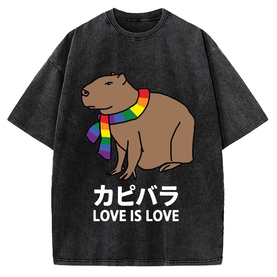 Capybara With Love Vintage Washed T-shirt