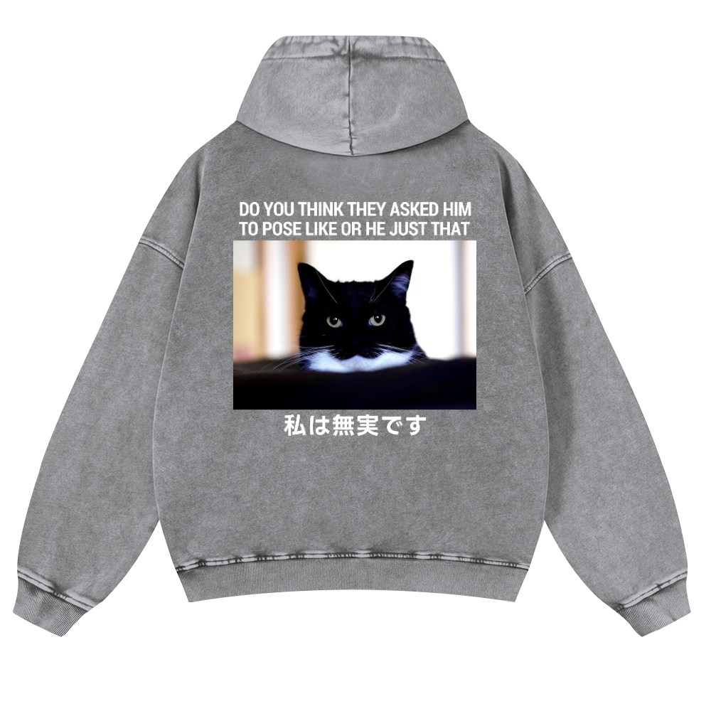 Cat Vintage Washed Cotton Back Art Hoodie