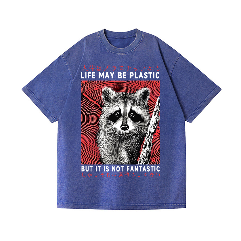 Raccoon Vintage Wash Japanese Design T-Shirt
