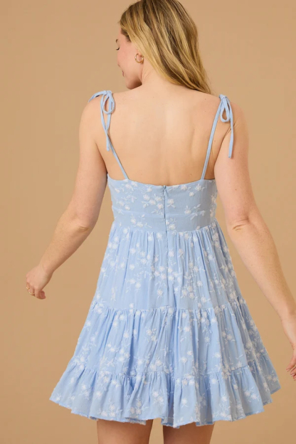 Leah Embroidered Mini Dress